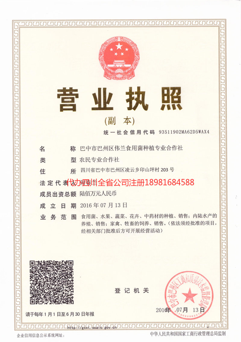 景洪景洪伟兰食用菌种植专业合作社